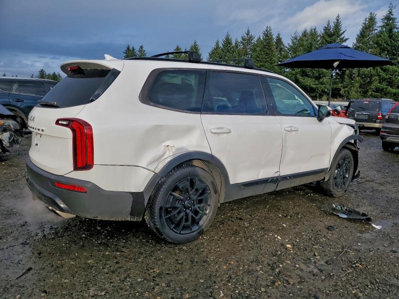 Photo 3 from auction – 2022 KIA TELLURIDE with VIN 5XYP5DHC1NG272452