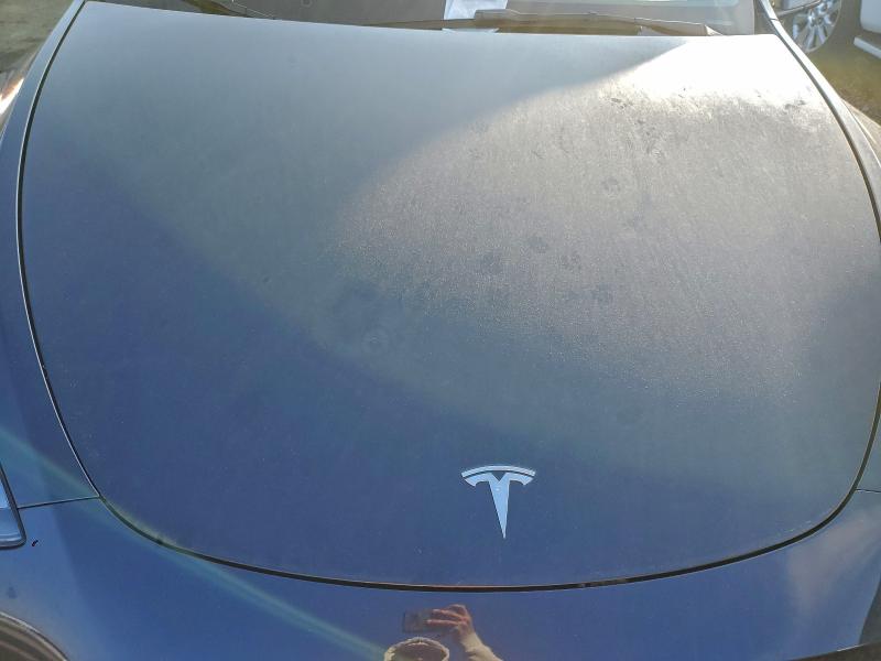 Photo 12 from auction – 2025 TESLA MODEL Y with VIN 7SAYGDEE9SF288201