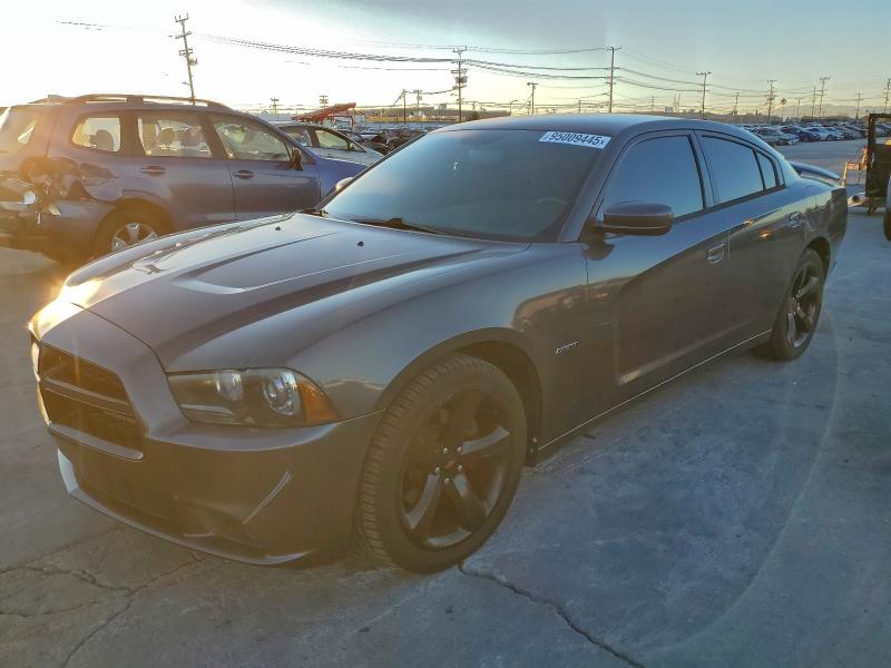 DODGE CHARGER R/ 2014 with VIN 2C3CDXCT6EH165655 - Photo from auction
