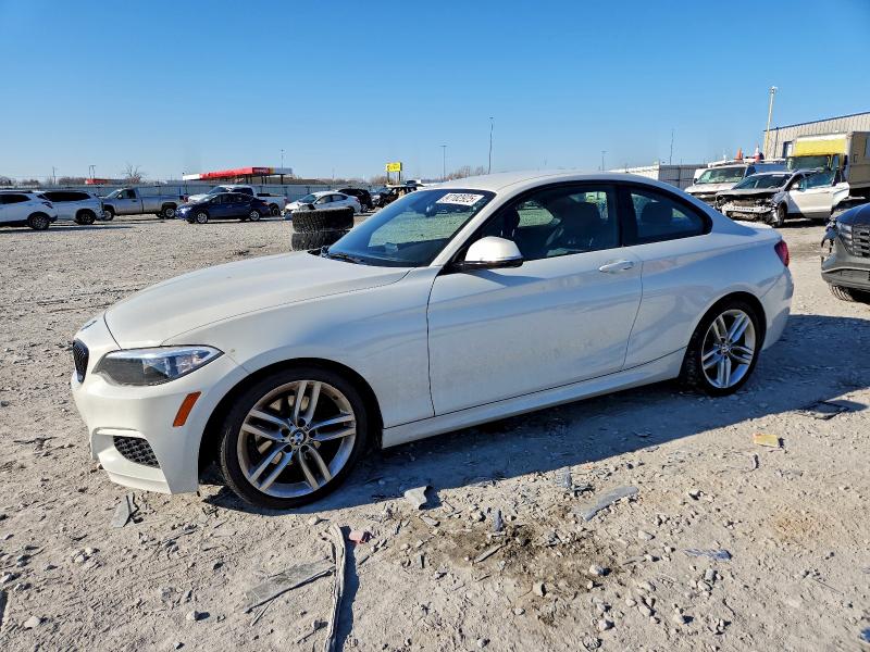 BMW 228 I 2015 with VIN WBA1F5C50FV343522 - Photo from auction