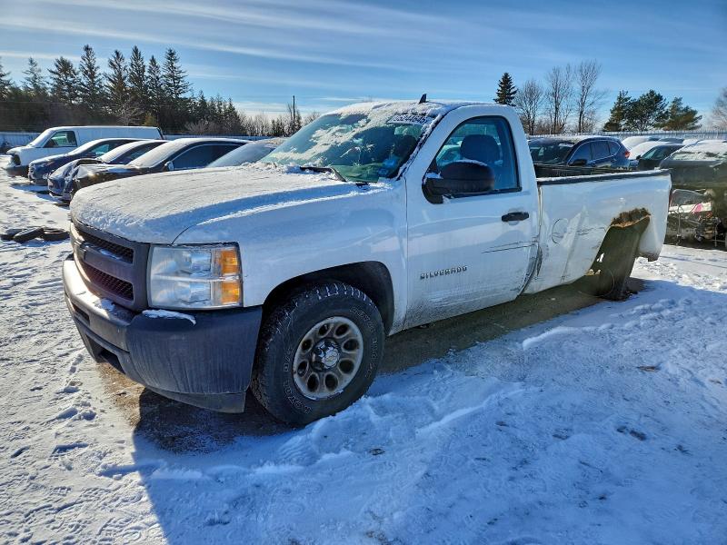 CHEVROLET SILVERADO 2010 with VIN 1GCPCPEX4AZ125889 - Photo from auction