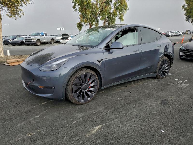 TESLA MODEL Y 2022 with VIN 7SAYGDEF6NF558062 - Photo from auction
