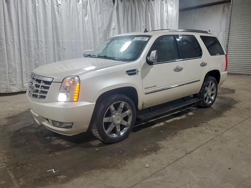 CADILLAC ESCALADE P 2011 with VIN 1GYS4CEF9BR373221 - Photo from auction