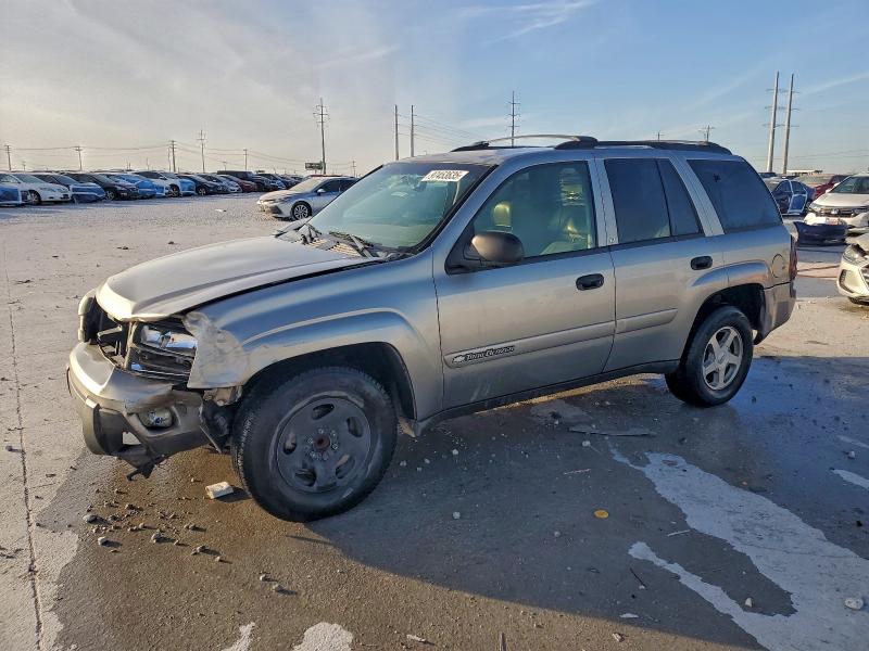 CHEVROLET TRAILBLAZE 2003 with VIN 1GNDS13S132113289 - Photo from auction