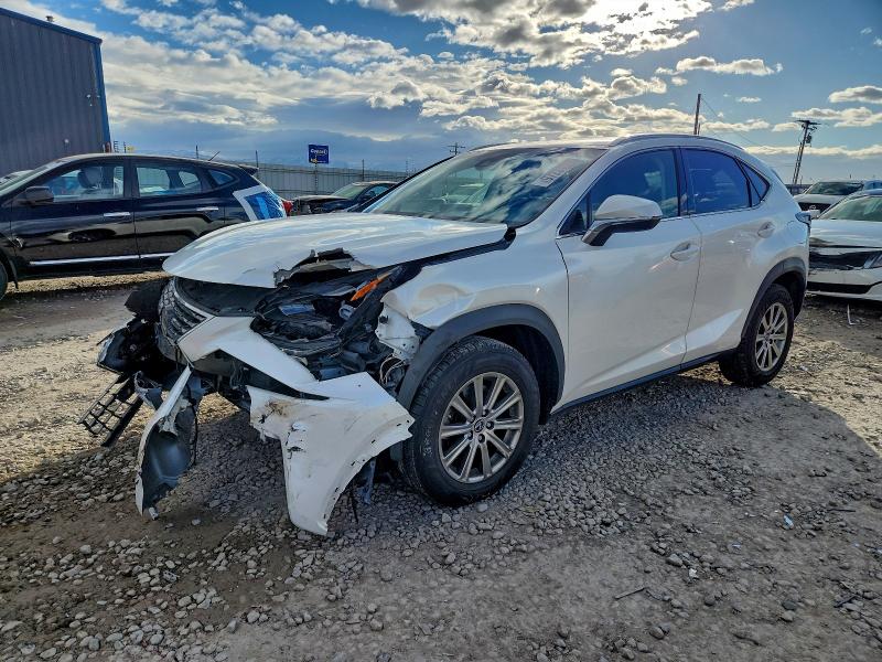 LEXUS NX 300 BAS 2019 with VIN JTJBARBZ5K2206327 - Photo from auction