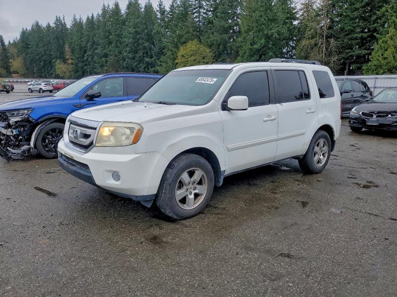 HONDA PILOT EXL 2011 with VIN 5FNYF3H53BB010030 - Photo from auction
