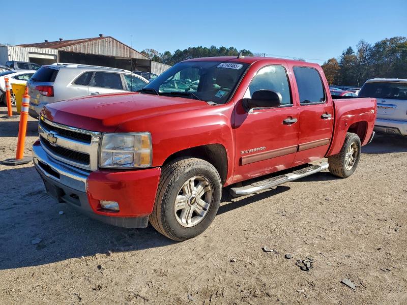 CHEVROLET SILVERADO 2010 with VIN 3GCRCSE09AG214923 - Photo from auction