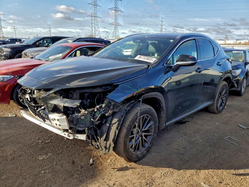 LEXUS NX 250 2022 with VIN 2T2ADCAZ8NC002336 - Photo from auction