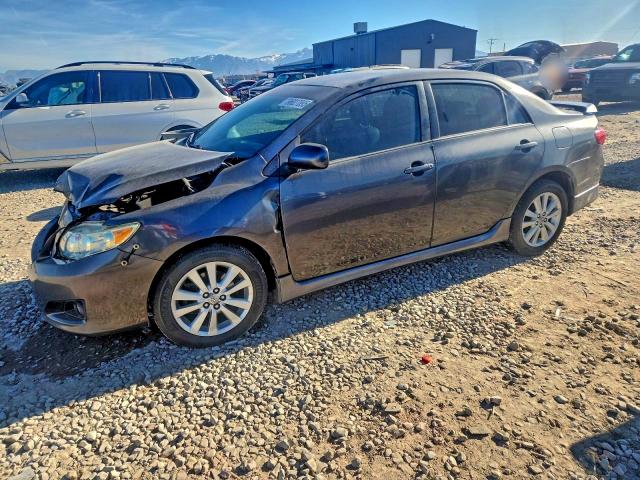 TOYOTA COROLLA BA 2009 with VIN 1NXBU40E09Z095502 - Photo from auction