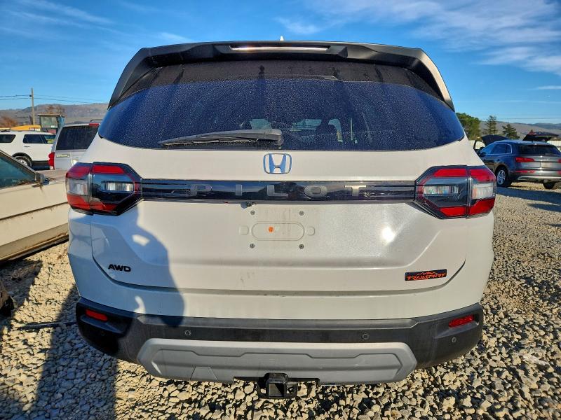 Photo 6 from auction – 2025 HONDA PILOT TRAI with VIN 5FNYG1H62SB008392