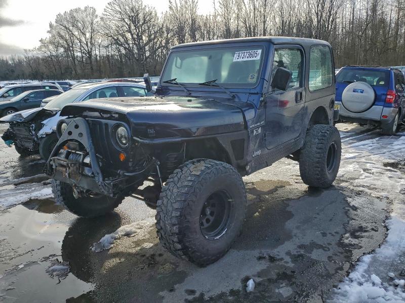 JEEP WRANGLER / 2002 with VIN 1J4FA39S72P754465 - Photo from auction