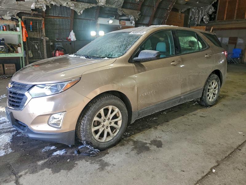 CHEVROLET EQUINOX LS 2018 with VIN 2GNAXREV6J6205704 - Photo from auction
