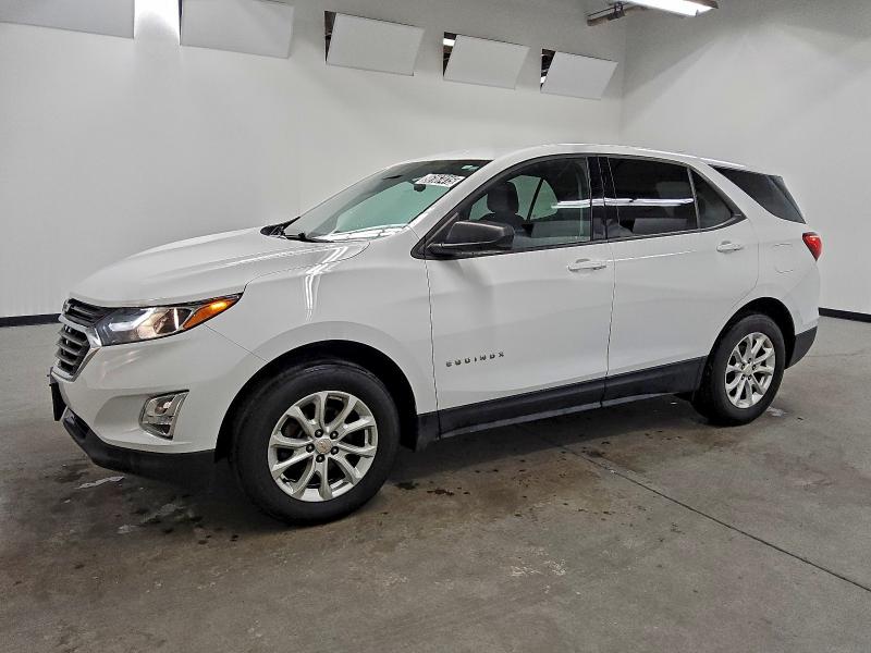 CHEVROLET EQUINOX LS 2019 with VIN 2GNAXSEV0K6163796 - Photo from auction