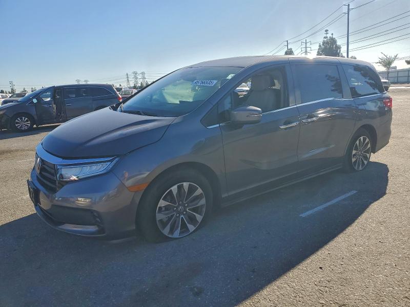 HONDA ODYSSEY EX 2023 with VIN 5FNRL6H65PB033694 - Photo from auction