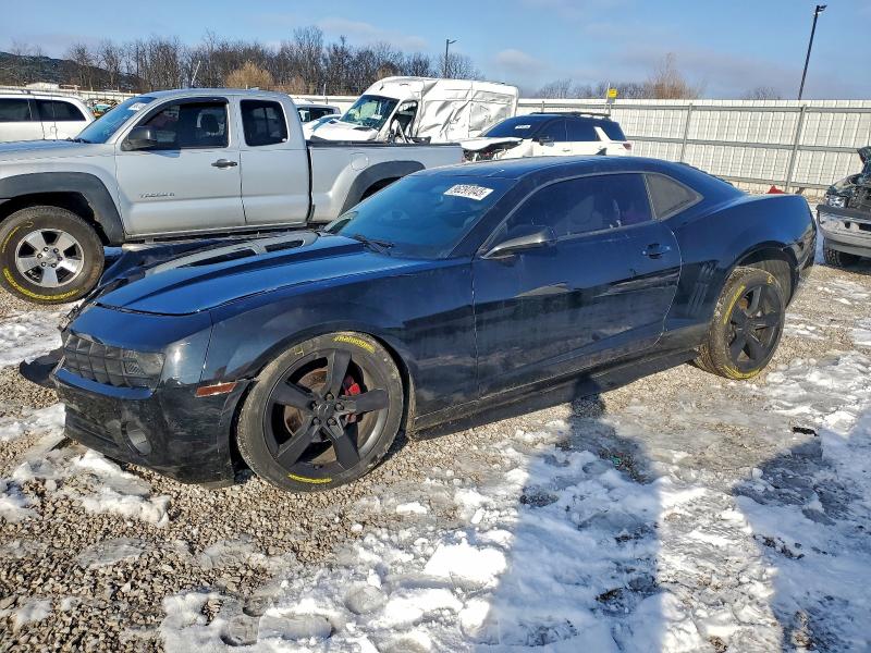 CHEVROLET CAMARO LS 2010 with VIN 2G1FA1EVXA9209277 - Photo from auction