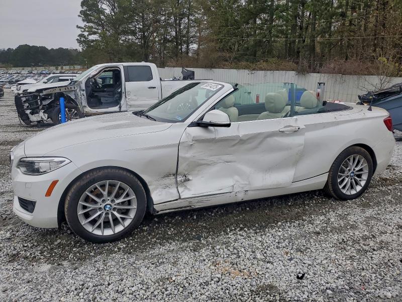 BMW 228 XI 2015 with VIN WBA1K7C51FV235319 - Photo from auction