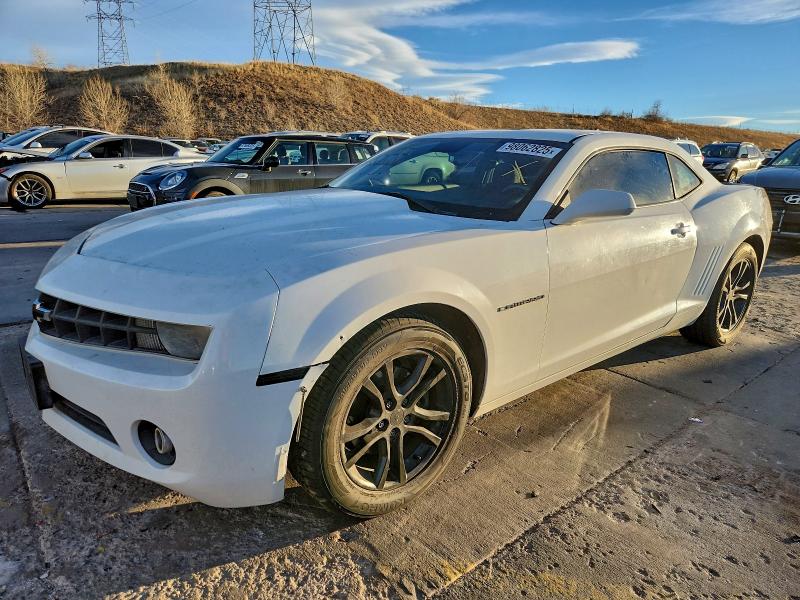 CHEVROLET CAMARO LS 2010 with VIN 2G1FA1EV8A9173976 - Photo from auction