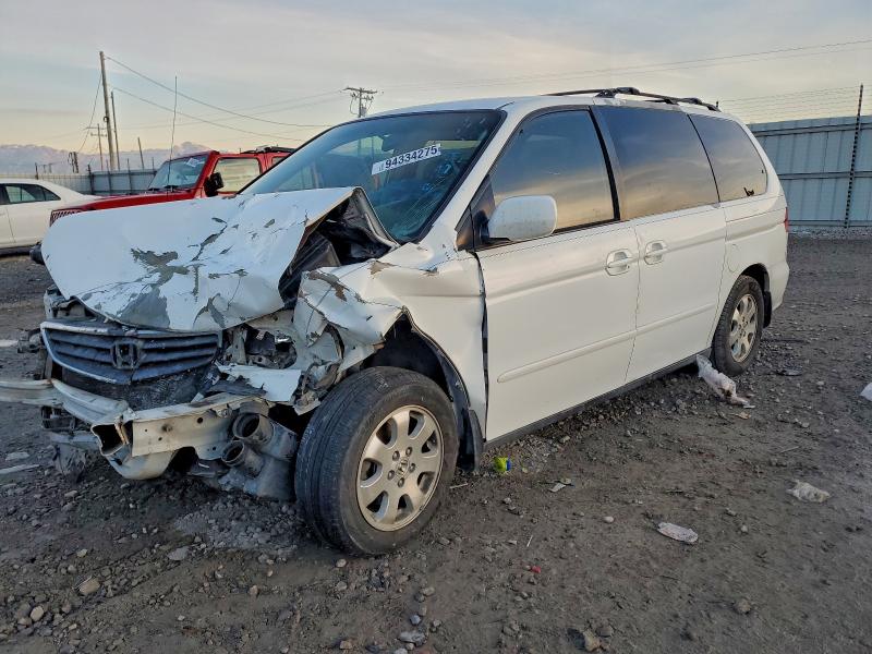HONDA ODYSSEY EX 2004 with VIN 5FNRL18904B014334 - Photo from auction