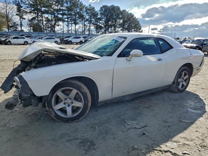 DODGE CHALLENGER 2010 with VIN 2B3CJ4DV5AH137134 - Photo from auction