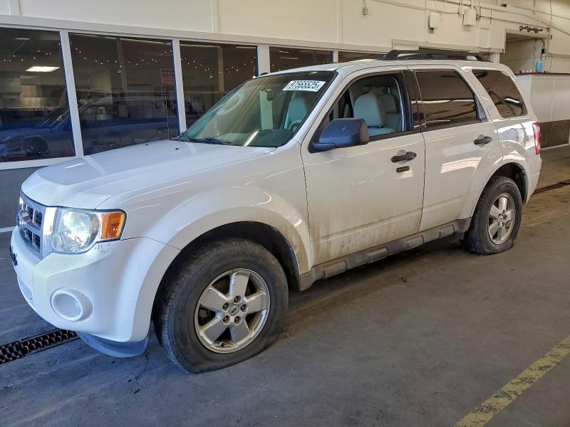 FORD ESCAPE XLT 2010 with VIN 1FMCU9DGXAKB40961 - Photo from auction