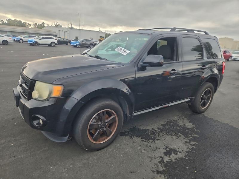 Photo 1 from auction – 2010 FORD ESCAPE XLT with VIN 1FMCU0DGXAKD06598