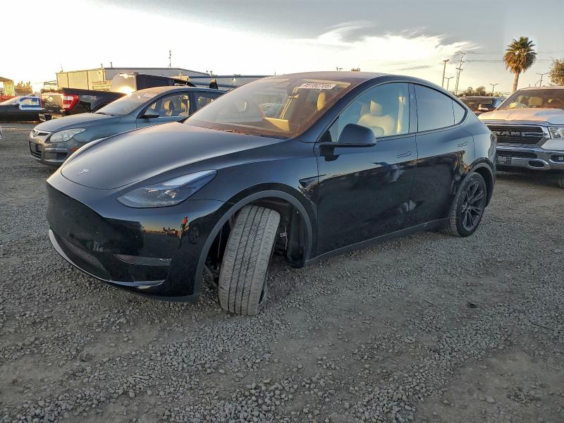 TESLA MODEL Y 2024 with VIN 7SAYGDED6RF127435 - Photo from auction