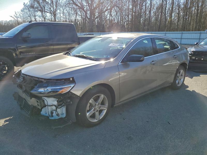CHEVROLET MALIBU LS 2024 with VIN 1G1ZC5ST3RF232307 - Photo from auction