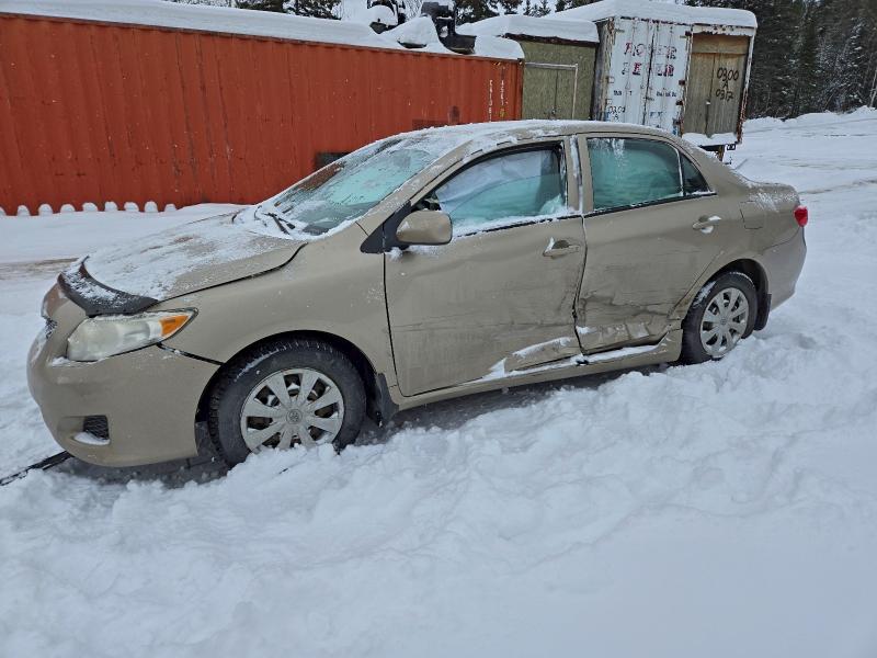 TOYOTA COROLLA BA 2010 with VIN 2T1BU4EE4AC402541 - Photo from auction
