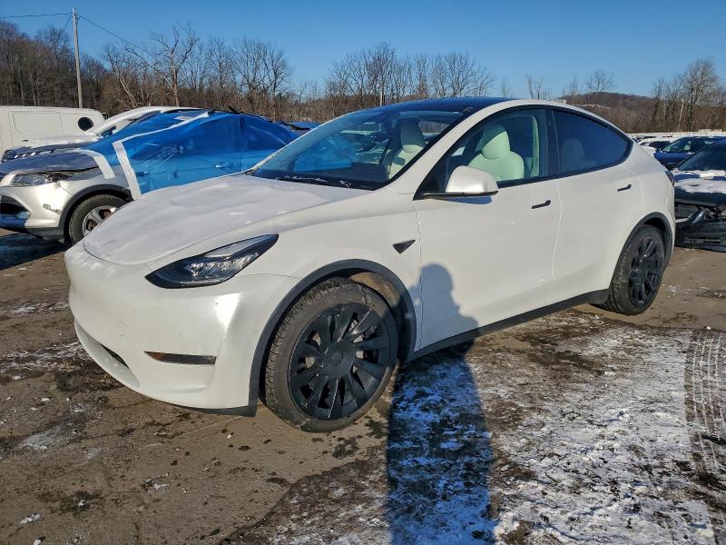 TESLA MODEL Y 2021 with VIN 5YJYGDEE9MF130098 - Photo from auction