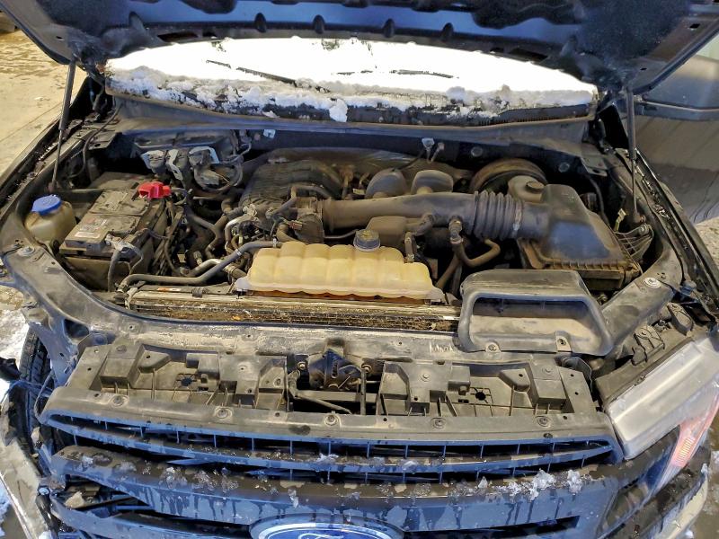 Photo 11 from auction – 2019 FORD F150 with VIN 1FTMF1CB2KKD95373