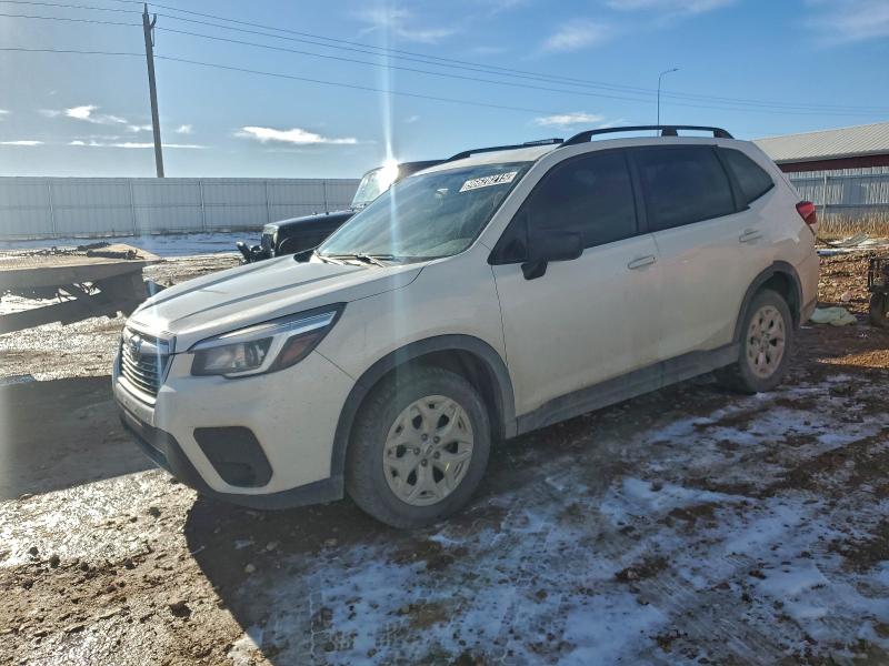 SUBARU FORESTER 2020 with VIN JF2SKADC6LH565373 - Photo from auction