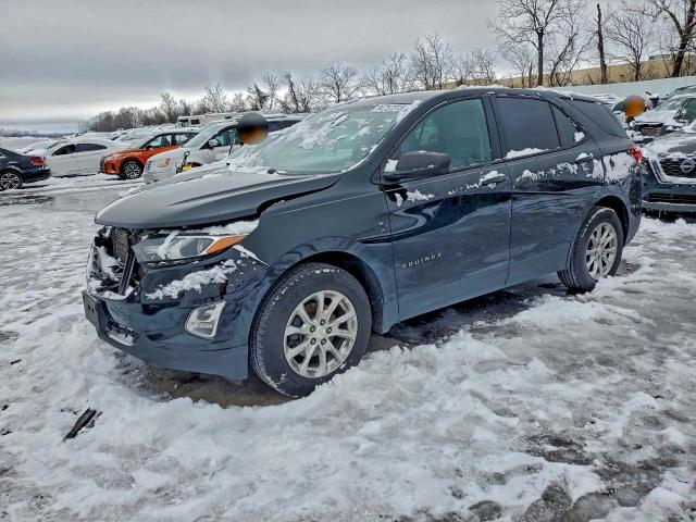 CHEVROLET EQUINOX LS 2019 with VIN 2GNAXHEV6K6240562 - Photo from auction