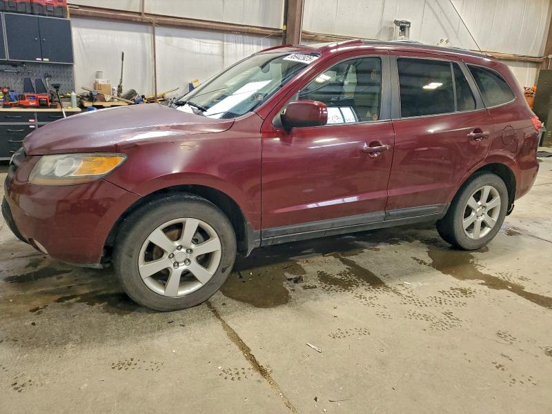 HYUNDAI SANTA FE G 2007 with VIN 5NMSG13E07H102135 - Photo from auction