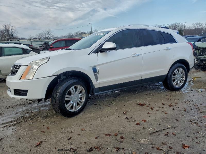 CADILLAC SRX LUXURY 2011 with VIN 3GYFNAEY3BS537919 - Photo from auction
