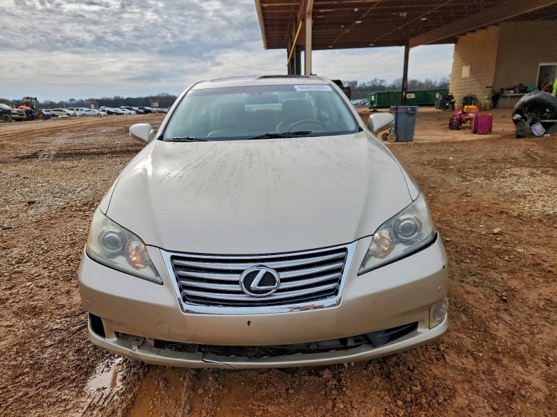 Photo 5 from auction – 2010 LEXUS ES 350 with VIN JTHBK1EG3A2369261