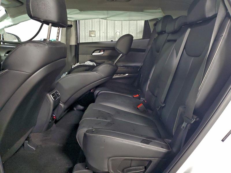 Photo 10 from auction – 2023 HYUNDAI SANTA FE L with VIN 5NMS5DA19PH001683