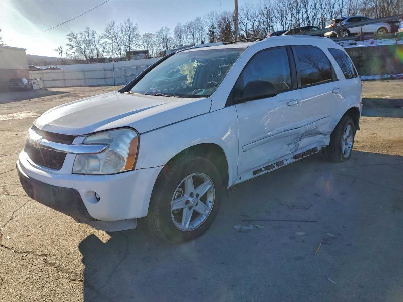 CHEVROLET EQUINOX LT 2005 with VIN 2CNDL73F556195962 - Photo from auction