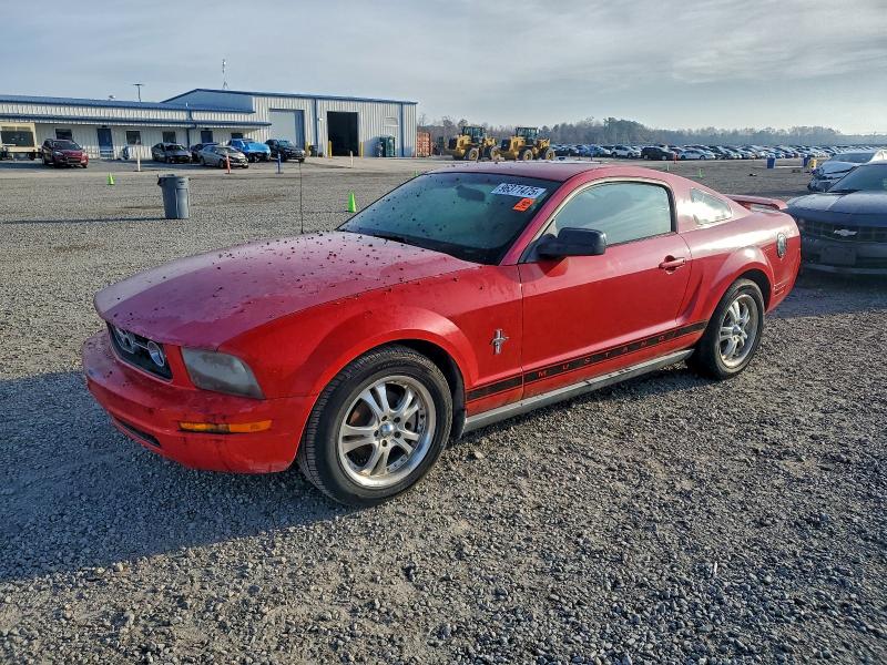 FORD MUSTANG 2006 with VIN 1ZVFT80N665131860 - Photo from auction