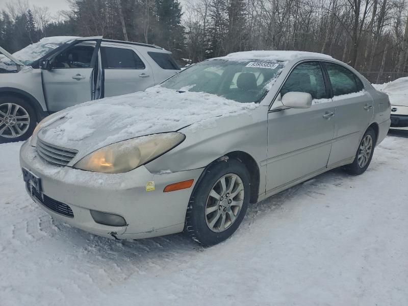 LEXUS ES 330 2004 with VIN JTHBA30G740010498 - Photo from auction