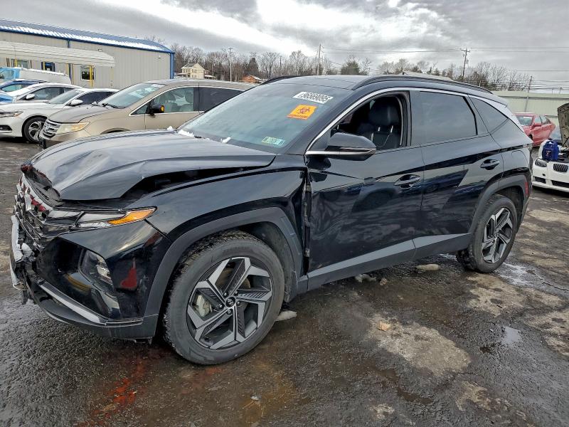HYUNDAI TUCSON LIM 2024 with VIN 5NMJECDE2RH341989 - Photo from auction