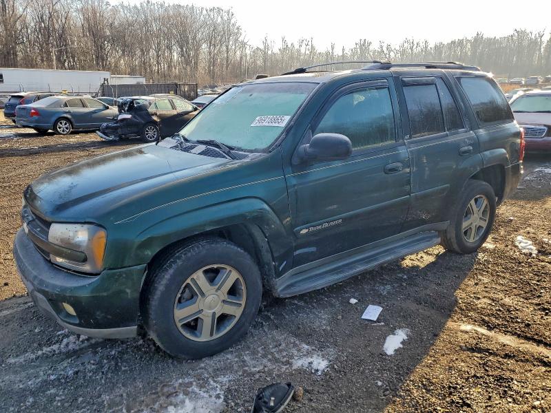 CHEVROLET TRAILBLAZE 2004 with VIN 1GNDT13S242407931 - Photo from auction