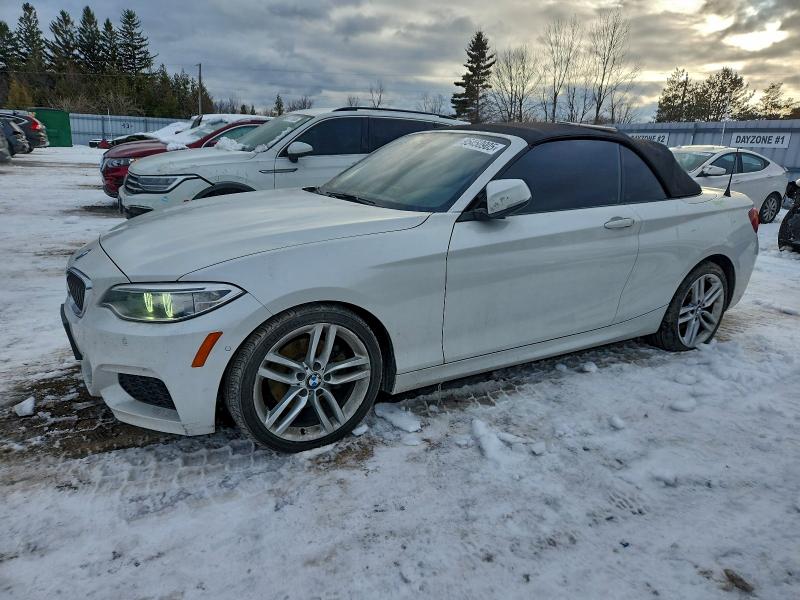 BMW 228 2016 with VIN WBA1L9C56GV768020 - Photo from auction