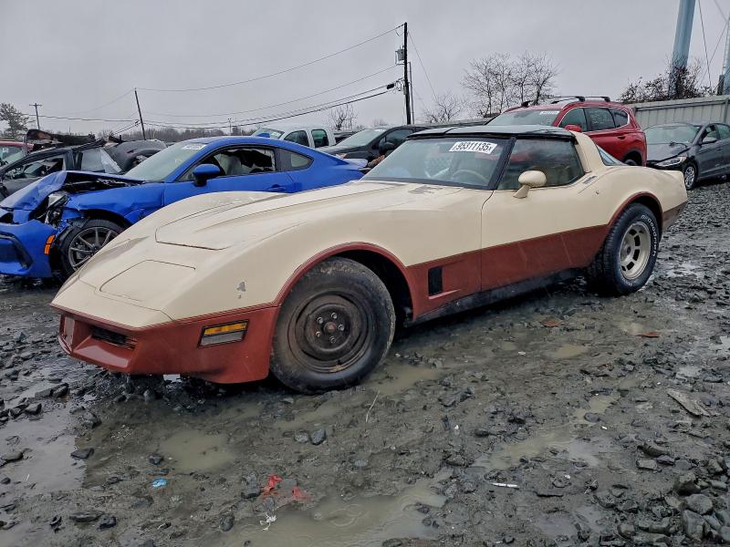 Фото 1 с аукциона – 1981 CHEVROLET CORVETTE с VIN 1G1AY8766B5107638