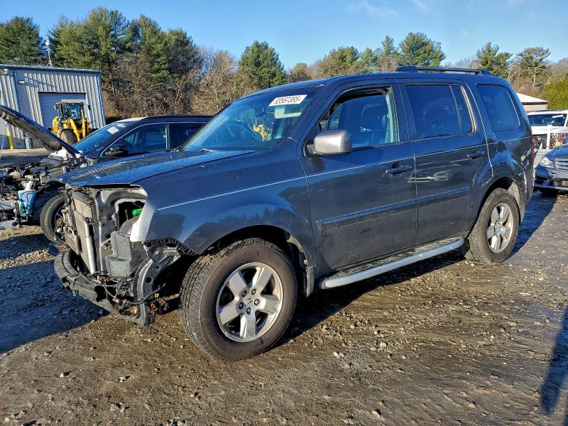 HONDA PILOT EXL 2011 with VIN 5FNYF4H51BB038334 - Photo from auction