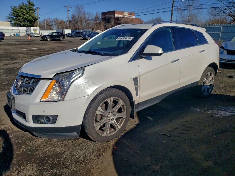 CADILLAC SRX PERFOR 2012 with VIN 3GYFNEE39CS654613 - Photo from auction