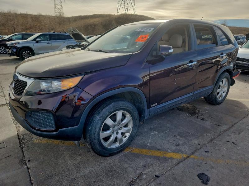 KIA SORENTO LX 2013 with VIN 5XYKTCA66DG377968 - Photo from auction