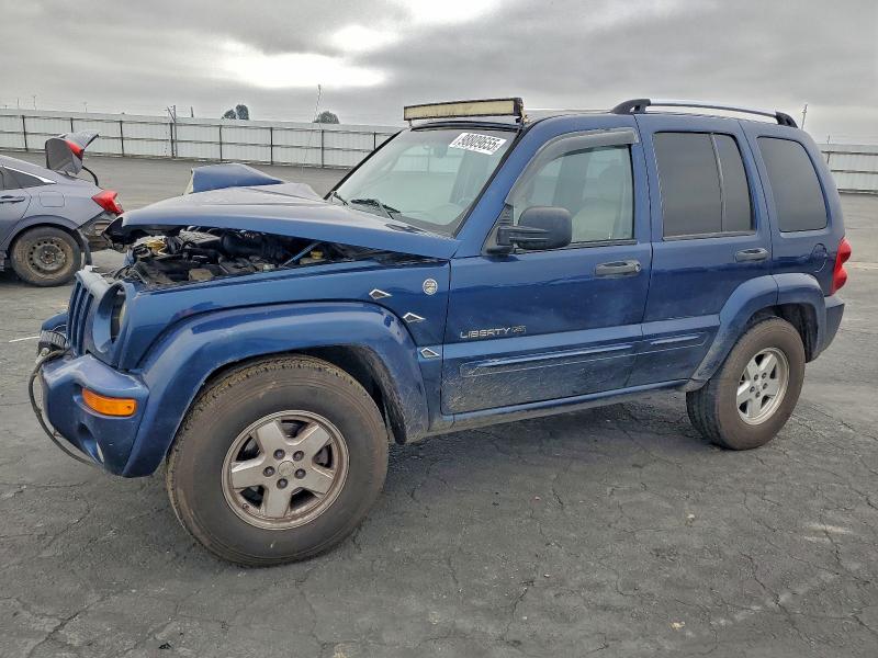 Photo 1 from auction – 2004 JEEP LIBERTY LI with VIN 1J4GL58K94W300934