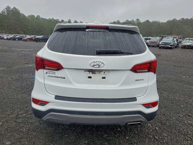 Photo 6 from auction – 2017 HYUNDAI SANTA FE S with VIN 5NMZU3LB9HH048151