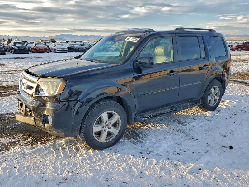 HONDA PILOT EXL 2011 with VIN 5FNYF4H51BB085265 - Photo from auction