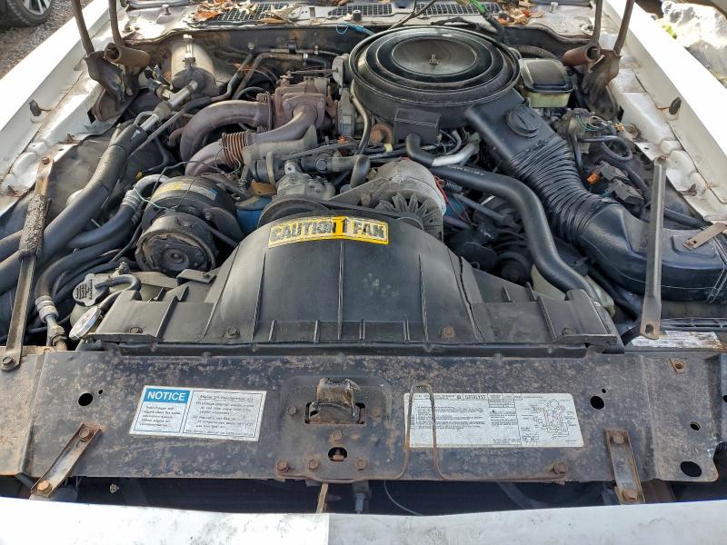 Photo 11 from auction – 1981 PONTIAC FIREBIRD S with VIN 1G2AX87T4BN113880